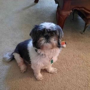 Meet your Posher, Barbara